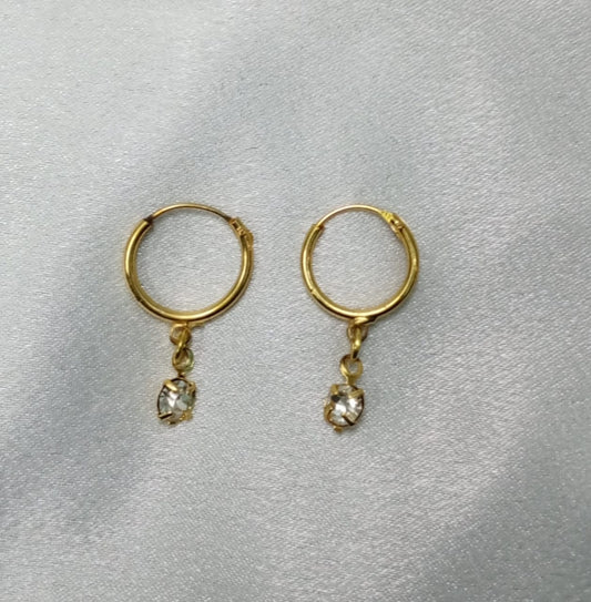 WJ1024AE - Earrings.