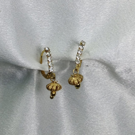 WJ1104AE - Earrings.