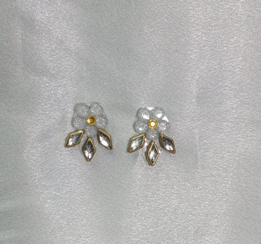 WJ1168AE - Earrings.